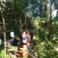 Pencarian Hari Kedua Lansia Hilang di Hutan Wanatirta Brebes Masih Nihil, Tim SAR Lanjutkan Operasi