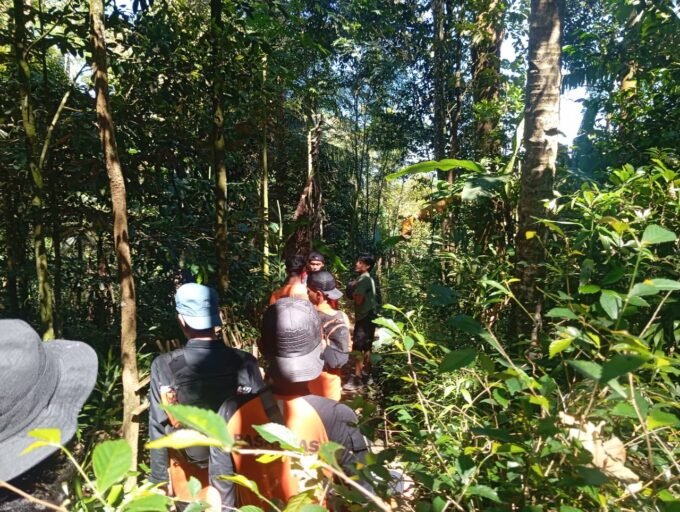 Pencarian Hari Kedua Lansia Hilang di Hutan Wanatirta Brebes Masih Nihil, Tim SAR Lanjutkan Operasi