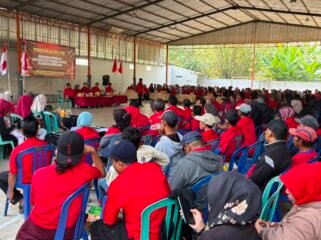 DPC PDI Perjuangan Pemalang Gelar Musran dan Musanran Serentak se-Kecamatan Ampelgading, 342 Pengurus Dilantik