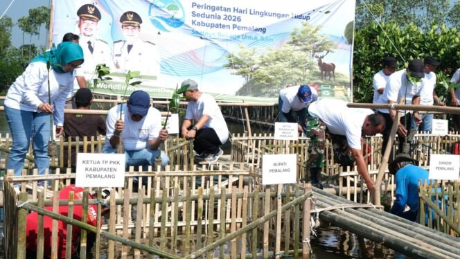 
					Peringati Hari Lingkungan Hidup, Pemkab Pemalang Tanam 3.000 Mangrove