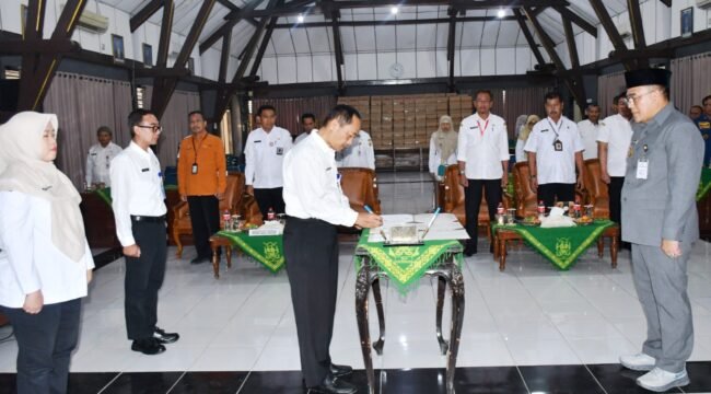 Rosi Alfon Nugroho hingga Novi Lailatul Faroh Dilantik, Ini Jabatan Barunya