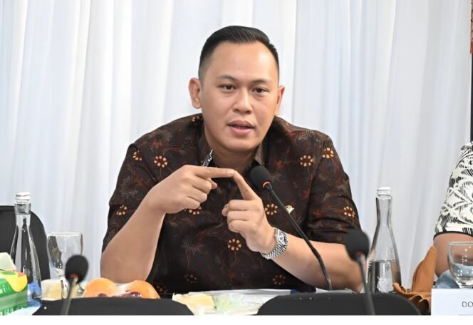 
					Doni Akbar