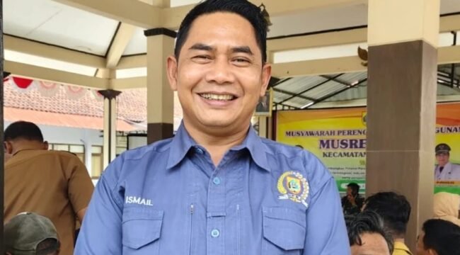 Wakil Ketua DPRD Kabupaten Pemalang, Aris Ismail, S.AP.,